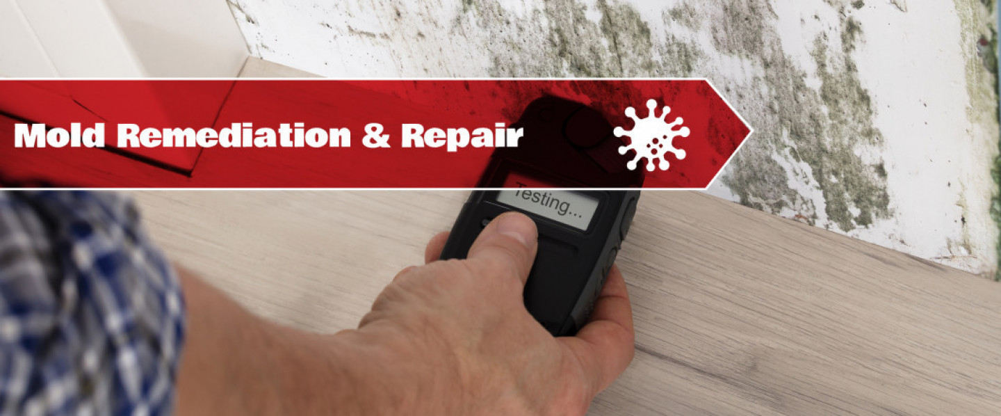 mold remediation and repair  Waite Park, MN