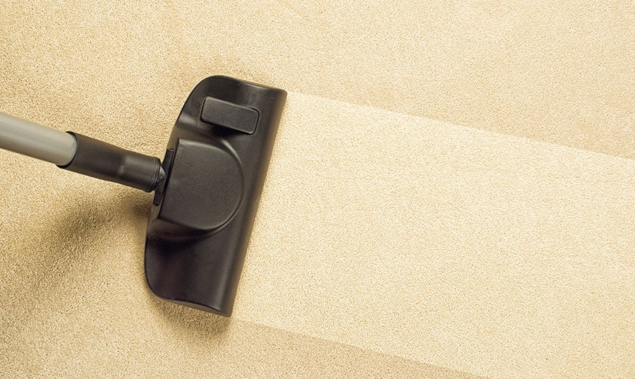 Carpet getting cleaned